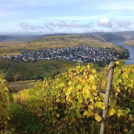 Bergblick Apartment