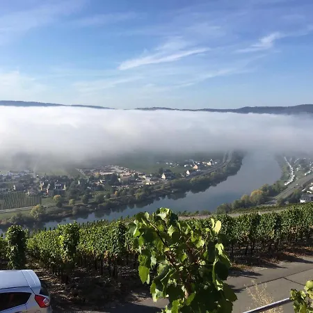 Bergblick * Trittenheim