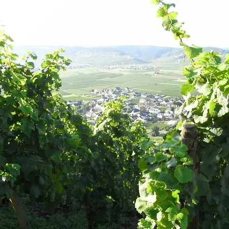 Apartment Bergblick *