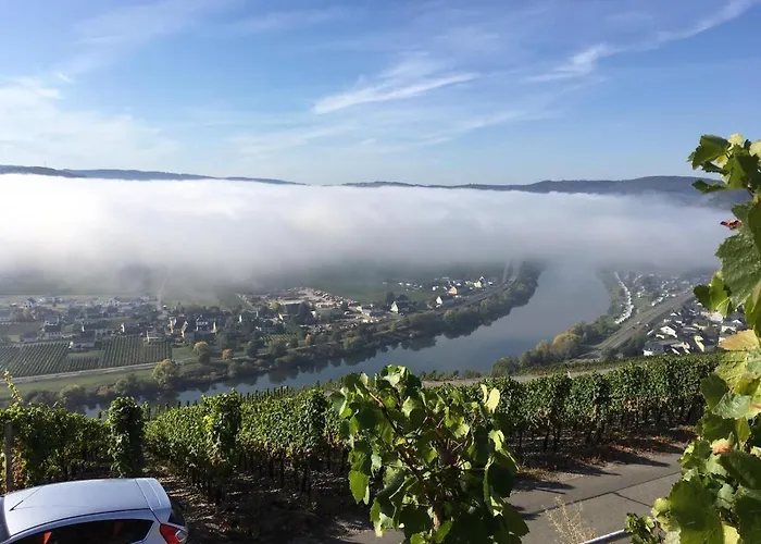 Bergblick * Trittenheim