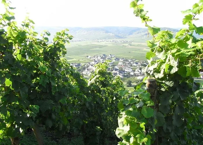 Apartamento Bergblick *